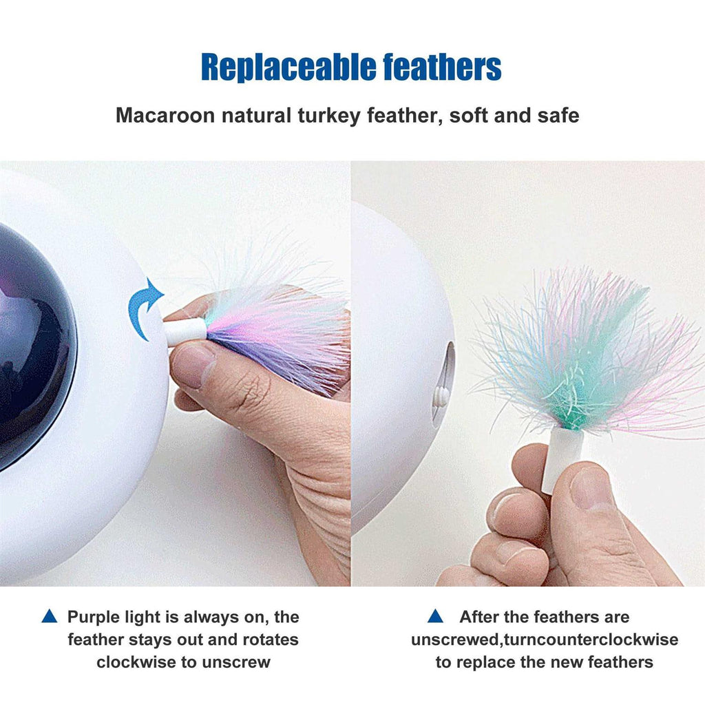 Interactive Cat Toy Z4788