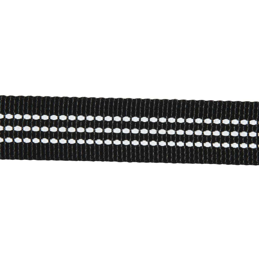 Dog Leash E684890