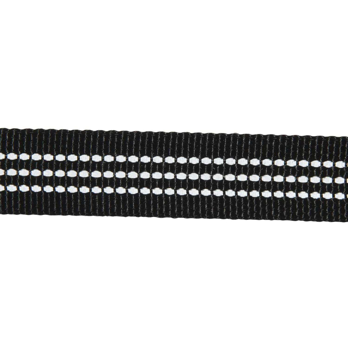 Dog Leash E684890
