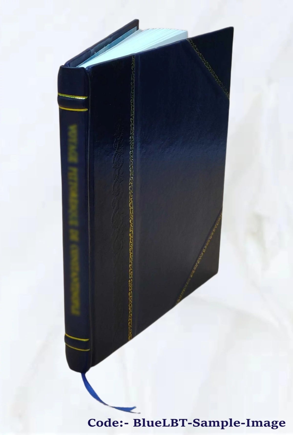 House Furniture and Village Building Leather Bound T78341