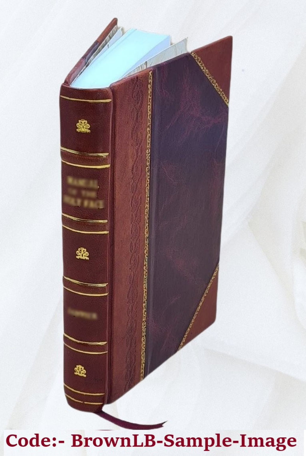 Leather Bound Book N6234
