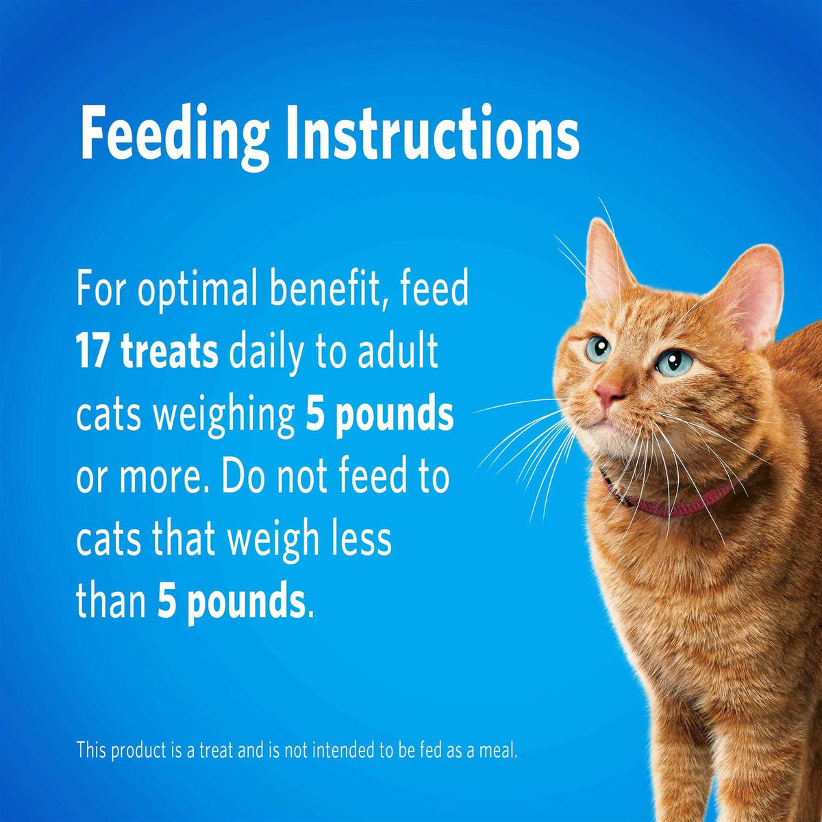 Cat Dental Treats T647