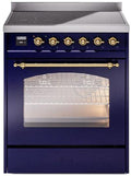 Blue Induction Range with Electric Oven R15342