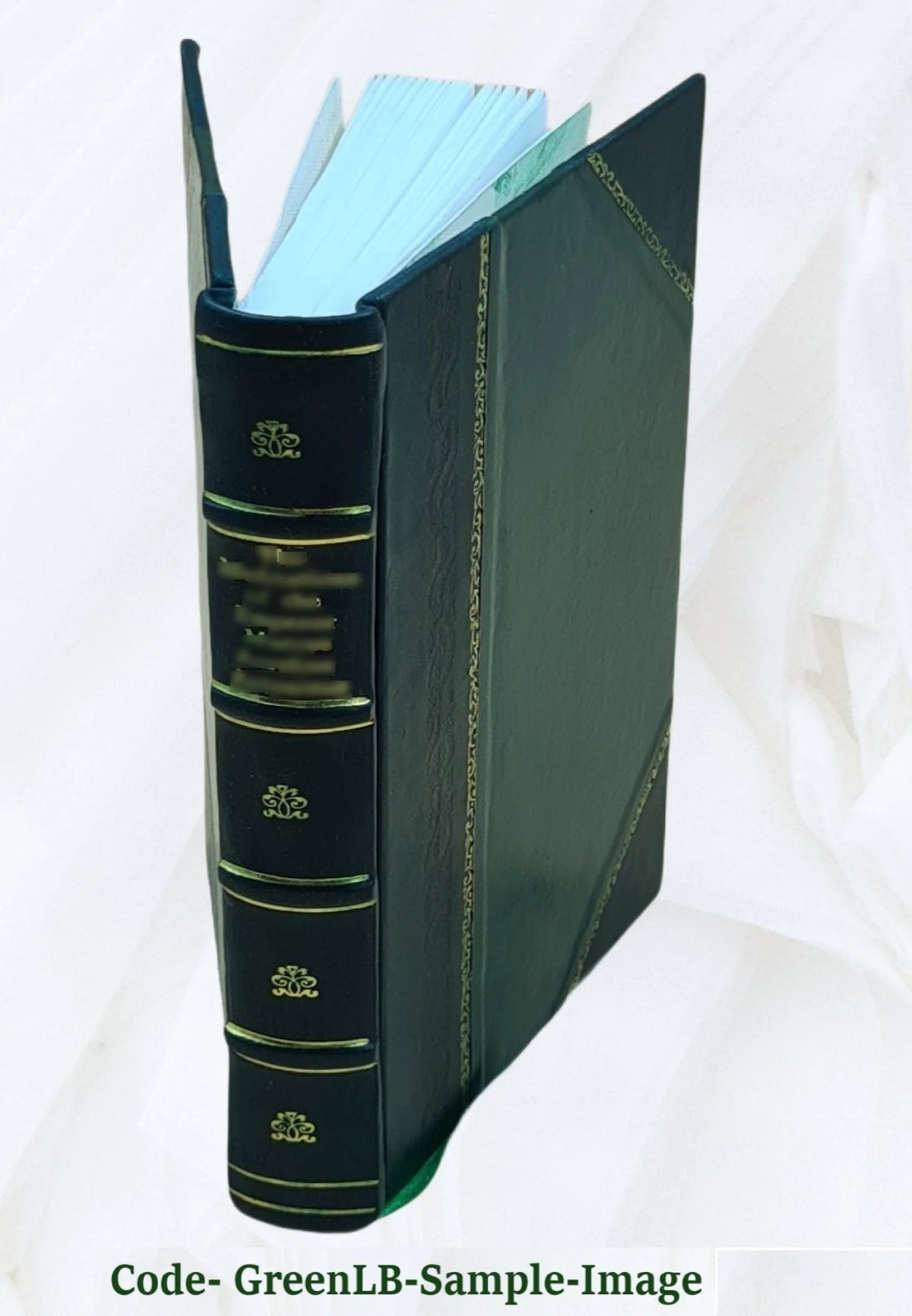 Leather Bound Book N6234