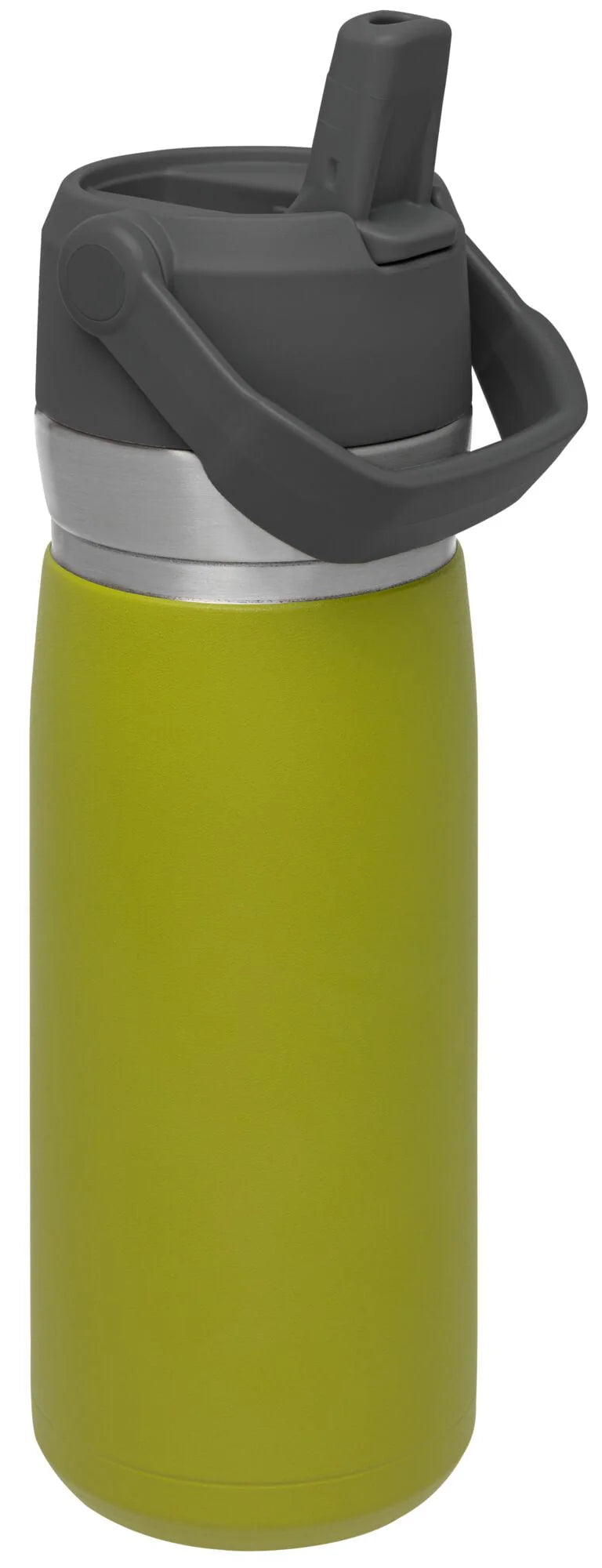 22 oz Insulated Stainless Steel Water Bottle with Straw and Flip-Top Lid S59490