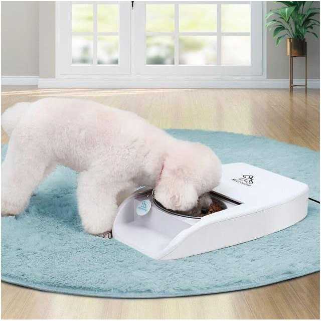 Automatic Microchip Pet Feeder Q571