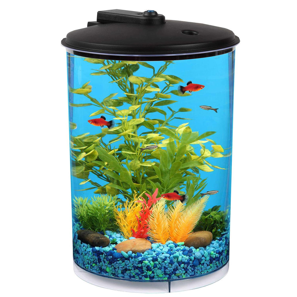 3-Gallon Aquarium with LED Lighting and Power Filter Q184544