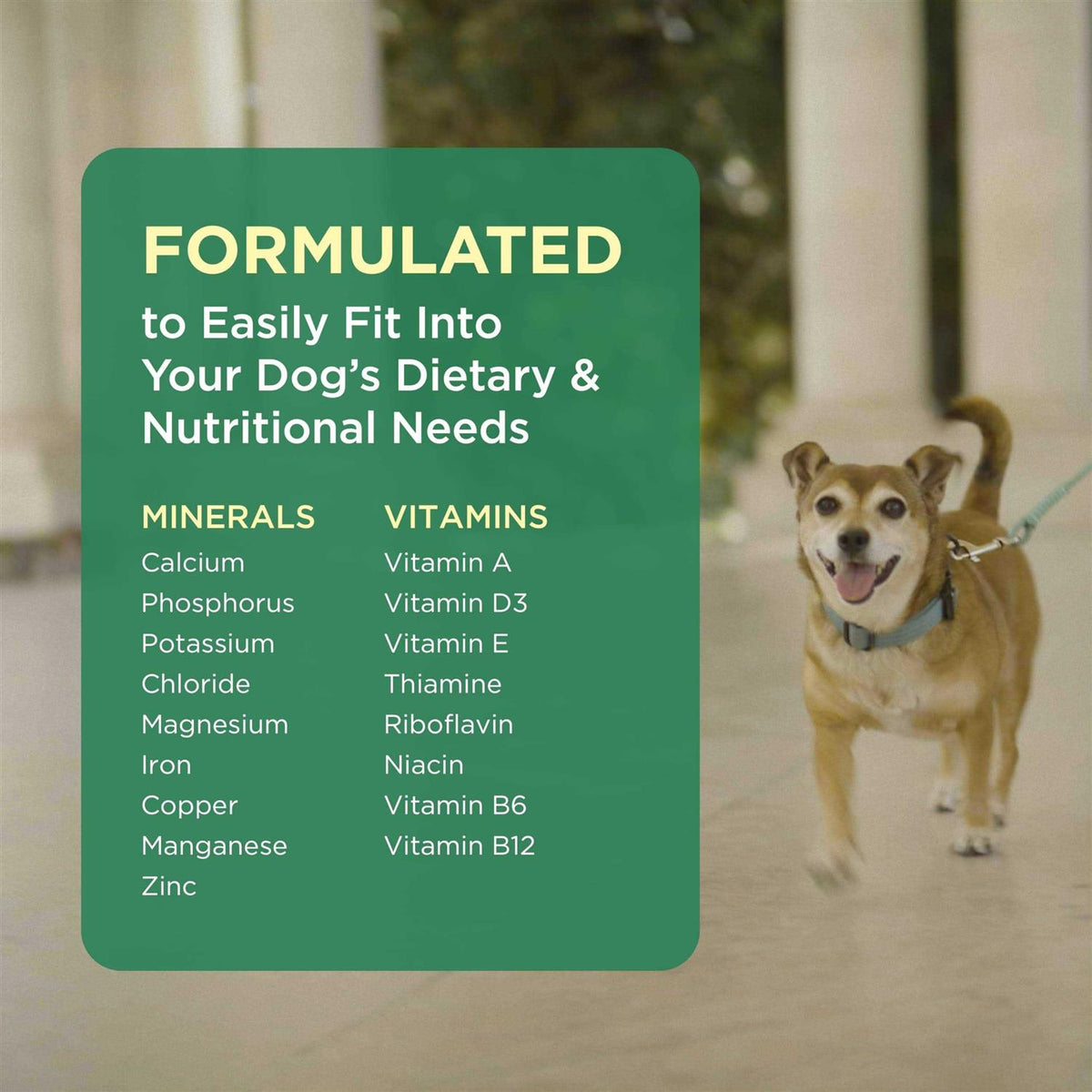 Pet Tabs for Dogs X4318