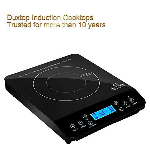 Portable Induction Cooktop Z8234