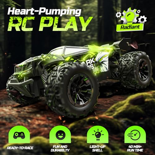 1:18 RC Monster Truck with 2 Batteries N381679
