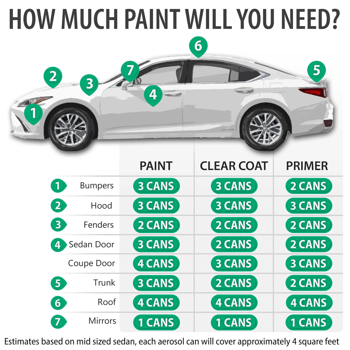 Shadow Mica Automotive Touch Up Paint Spray Basic Kit K181