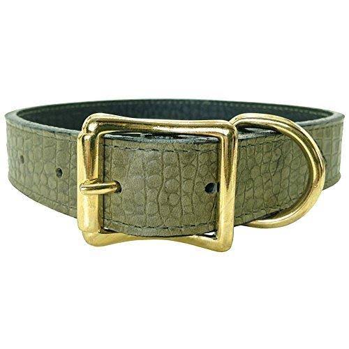 Lizard Olive Leather Dog Collar 1 inch x 18 inch W85714