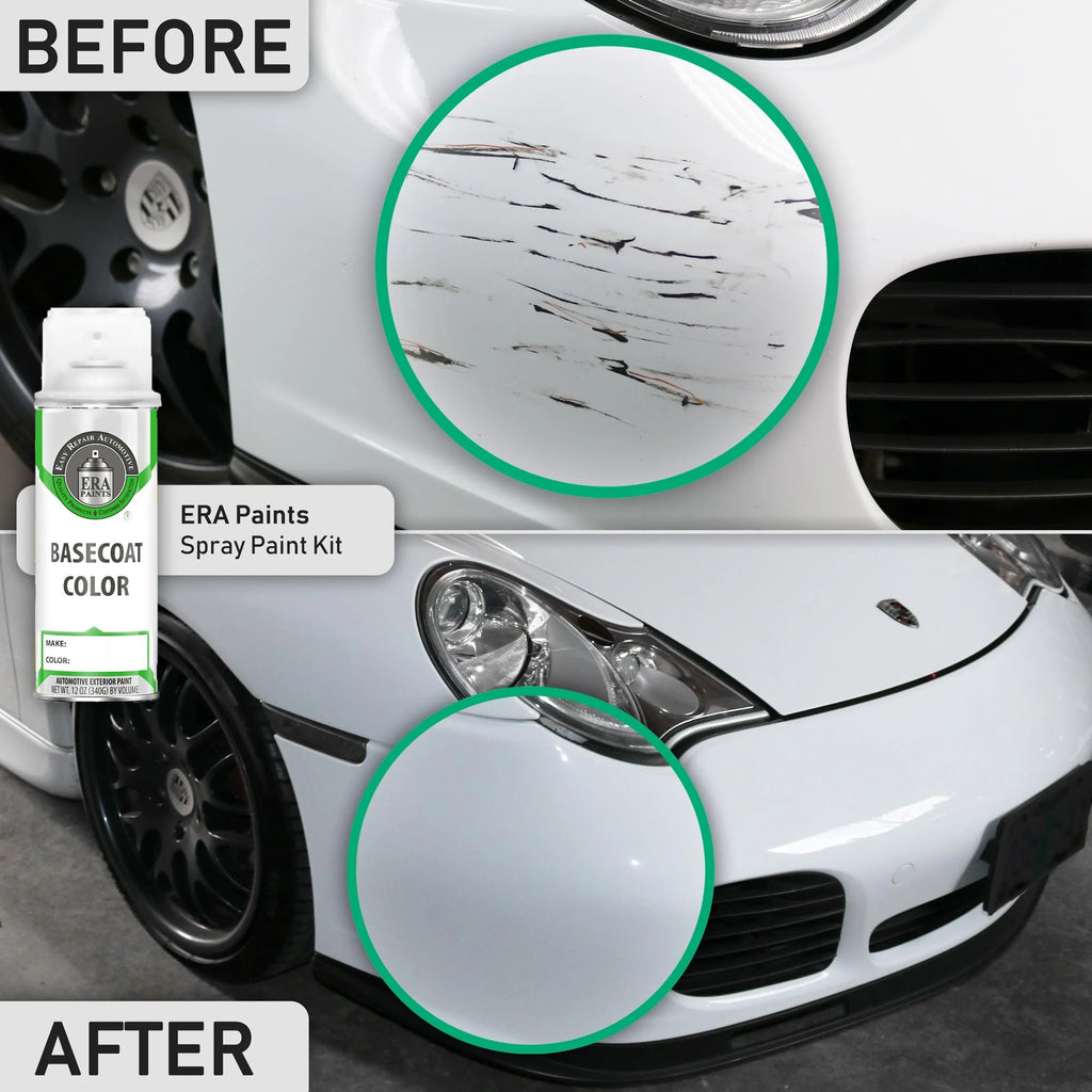 Shadow Mica Automotive Touch Up Paint Spray Basic Kit K181