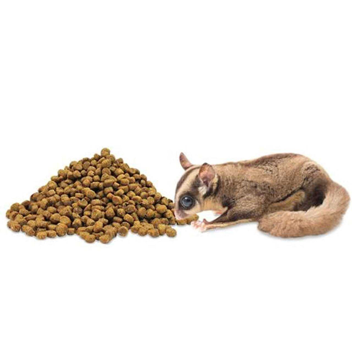 Sugar Glider Food I95301