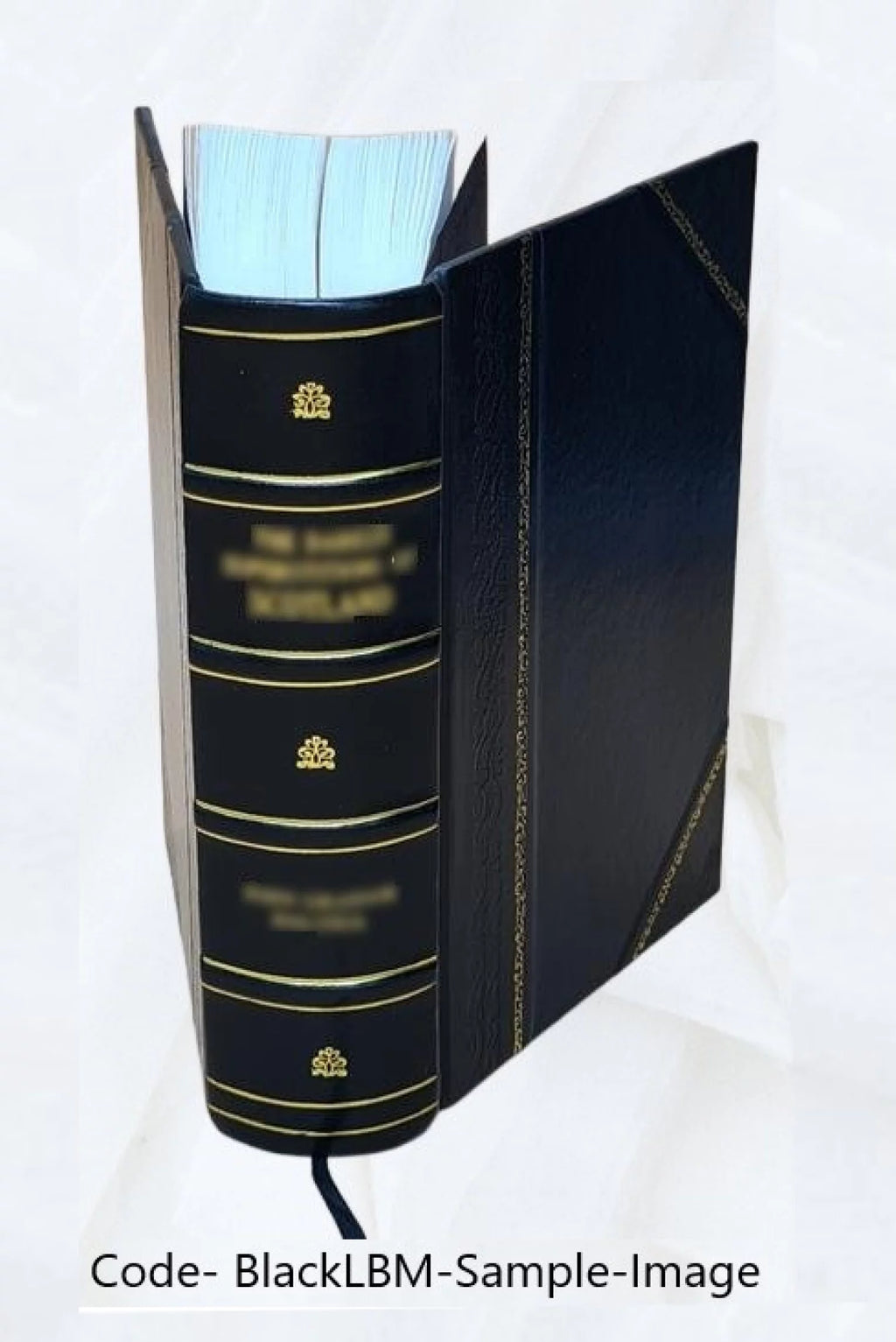 Leather Bound Book N7236