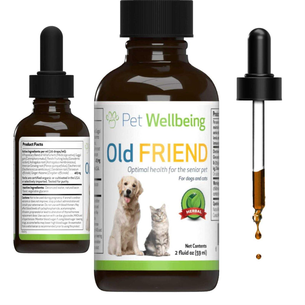 Senior Dogs Pet Supplies E43760