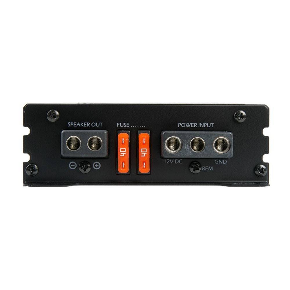 1000W Class D Monoblock Amplifier D390534