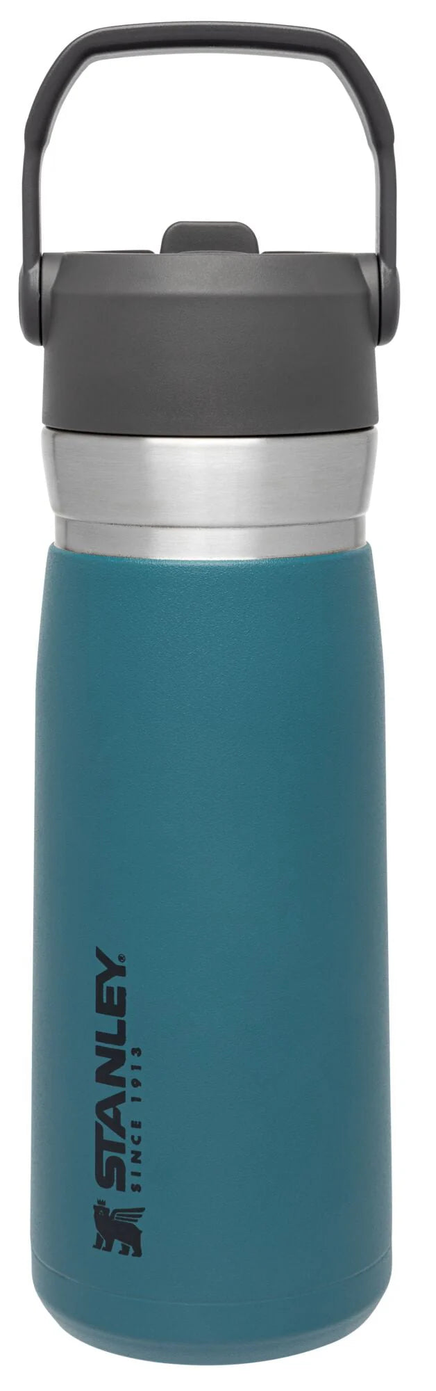 22 oz Insulated Stainless Steel Water Bottle with Straw and Flip-Top Lid S59490