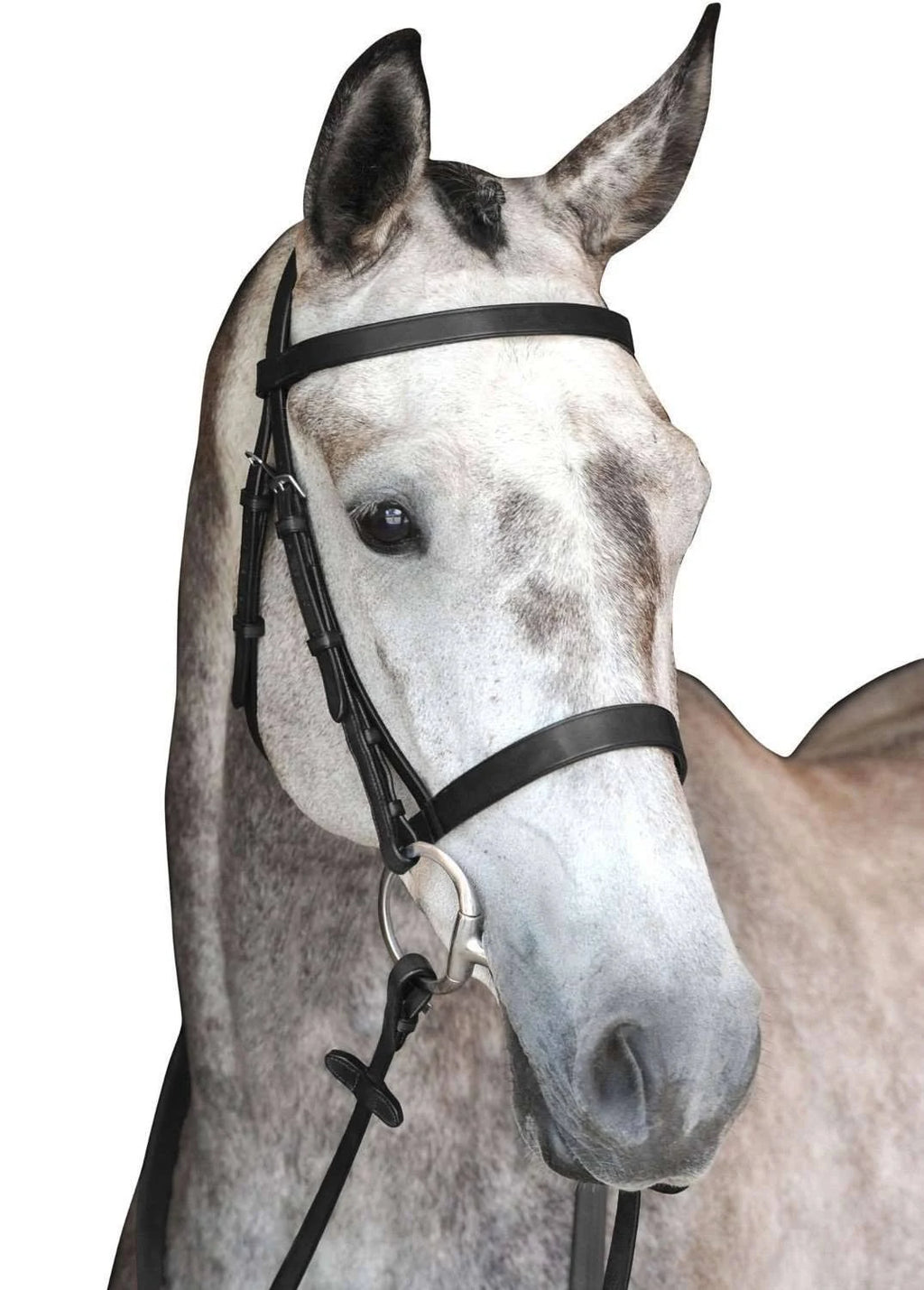 Black Cavesson Bridle H376