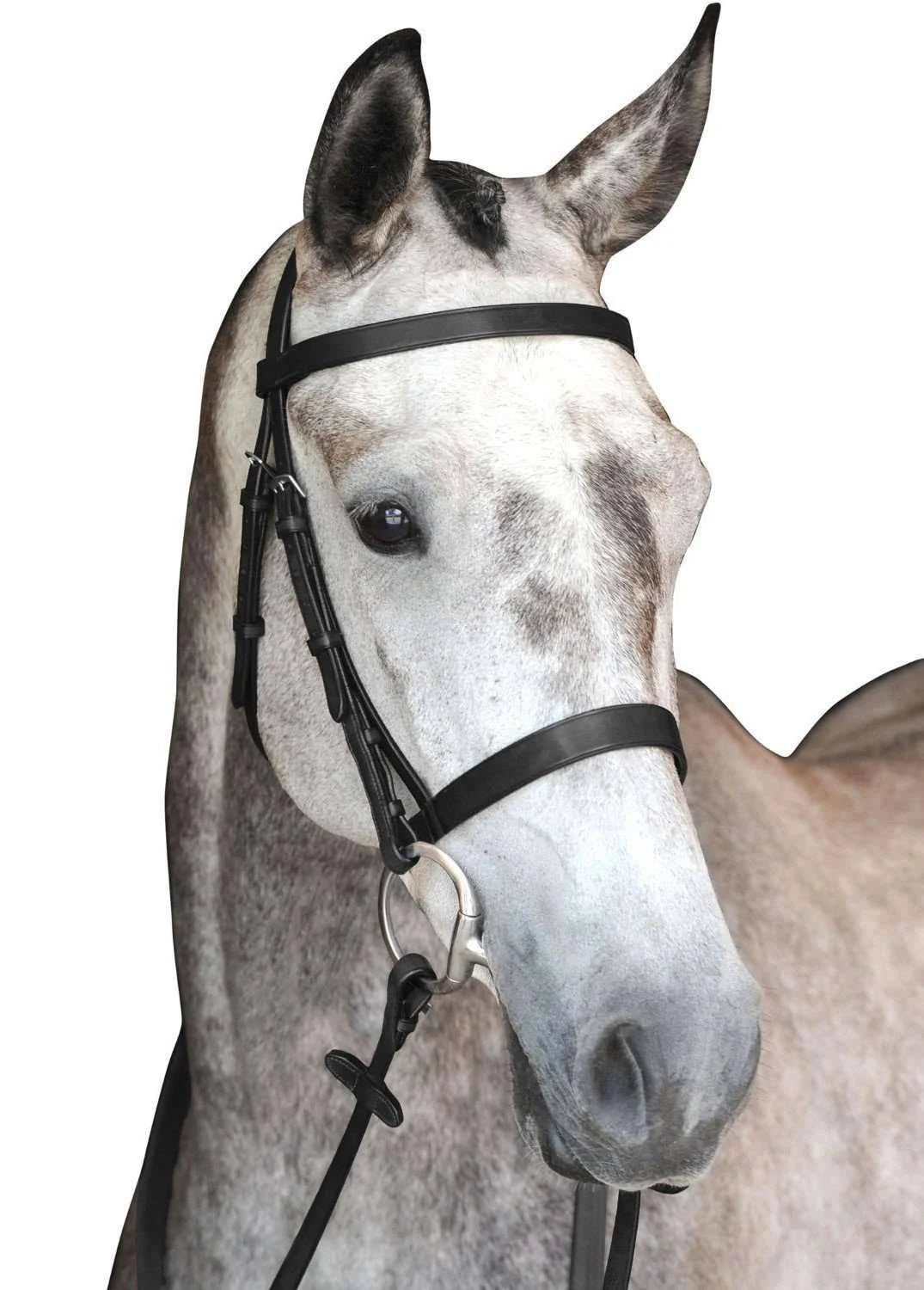 Black Cavesson Bridle H376
