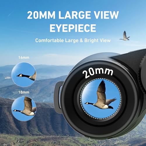 10x42 HD Binoculars with Phone Adapter and Tripod T6555