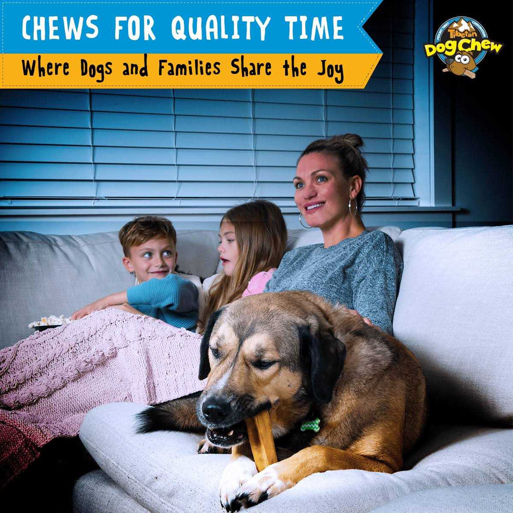 Yak Cheese Dog Chew K305526