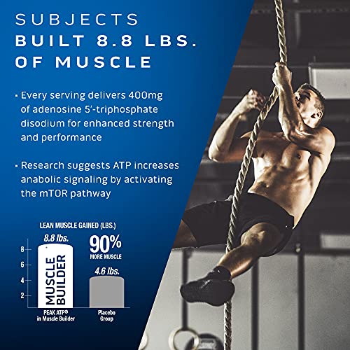 30 Capsules Nitric Oxide Supplement E6467