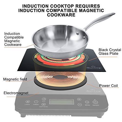 Portable Induction Cooktop Z8234