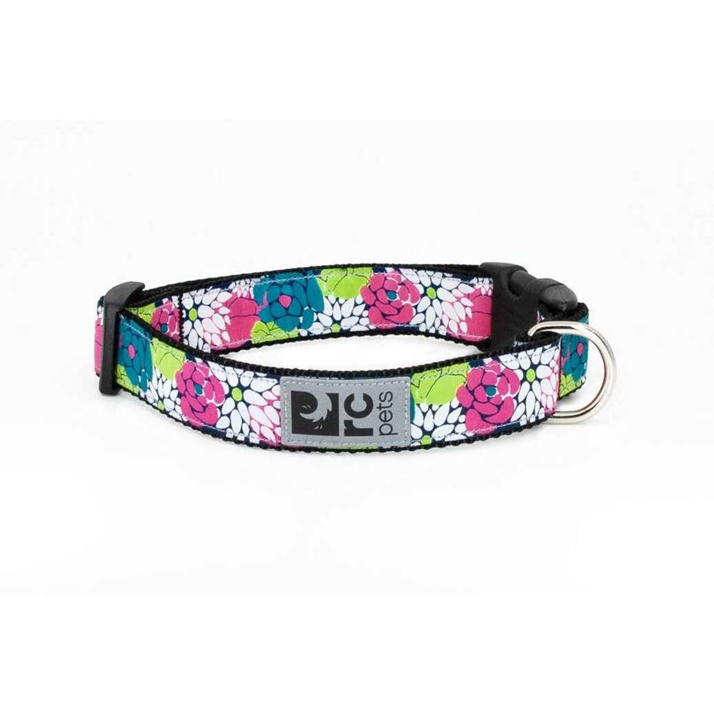 Clip Dog Collar V384