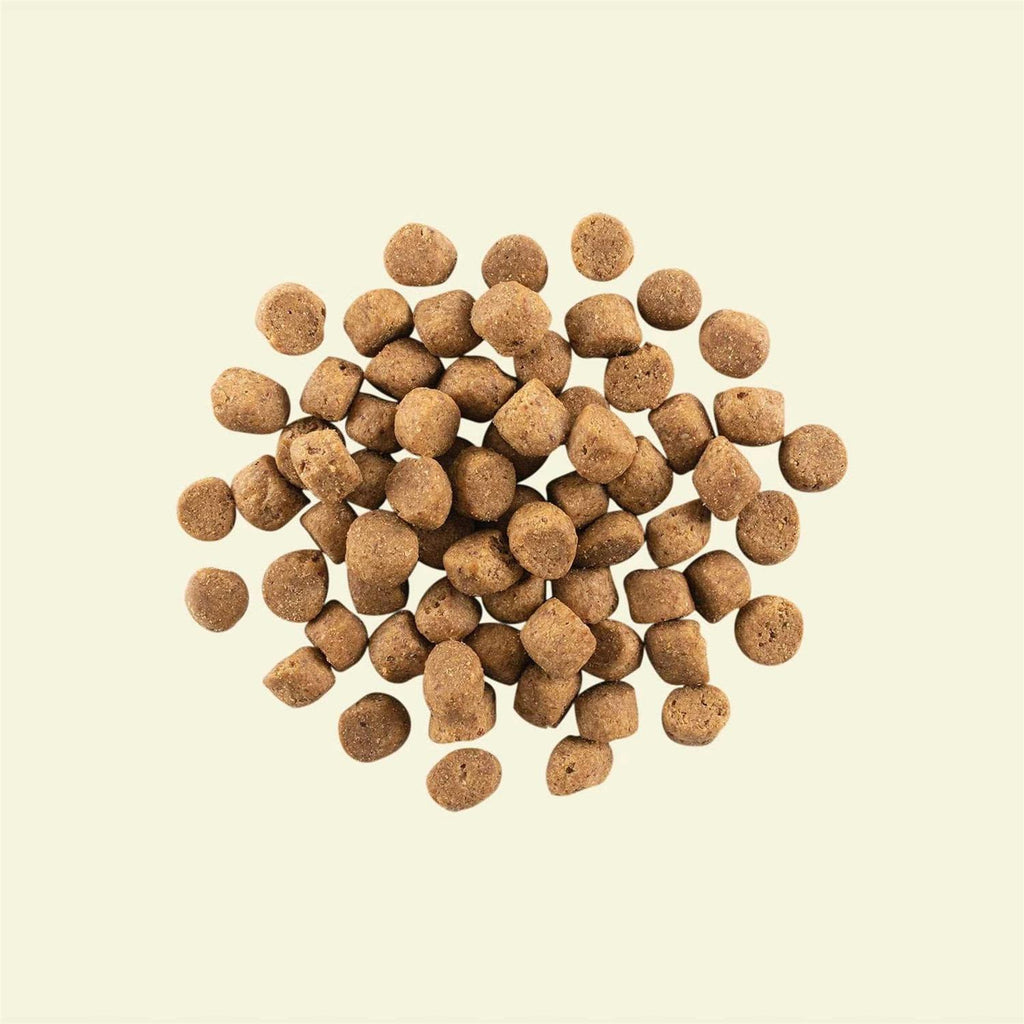 Grain-Free Puppy Recipe Dry Dog Food I21811