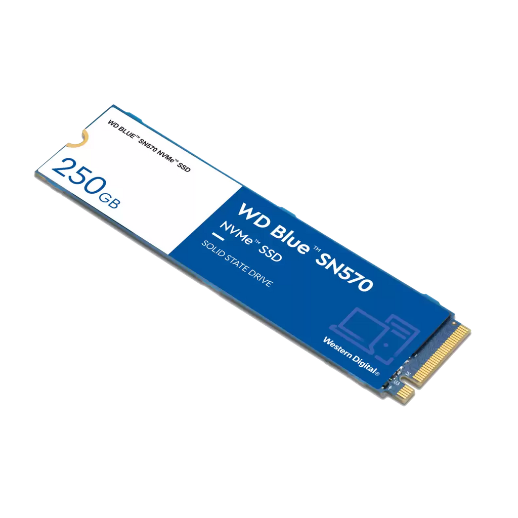 500GB NVMe SSD P131002