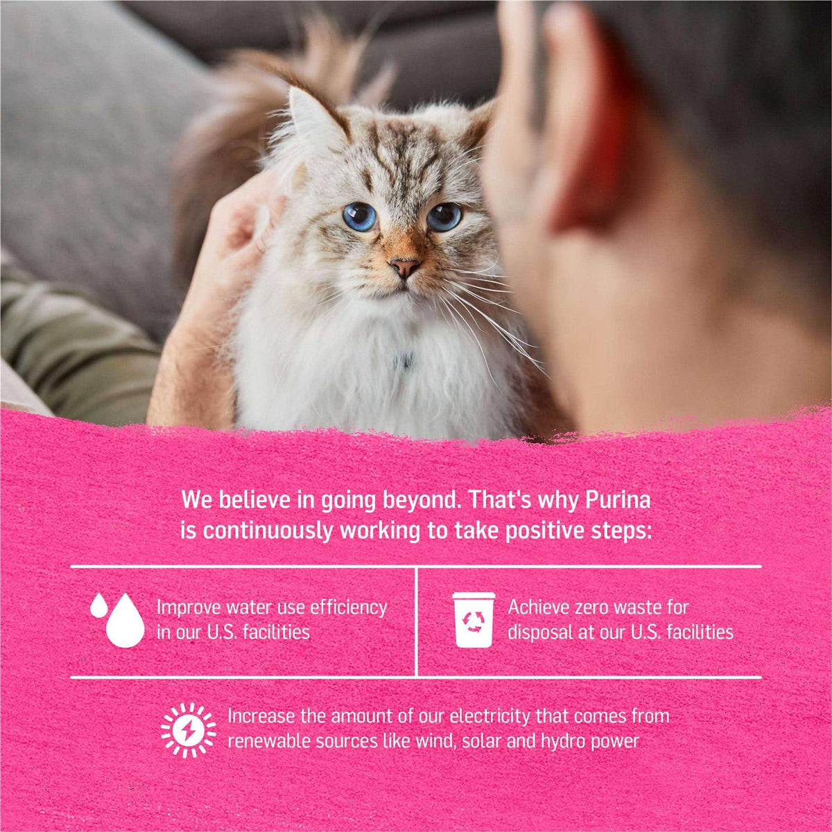 Grain-Free Wet Cat Food W48096