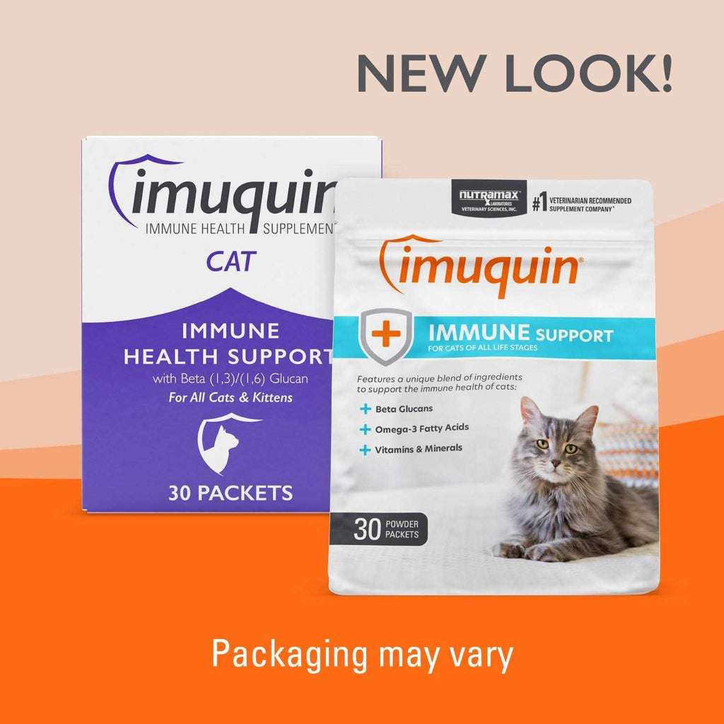 Immune Health Supplement Powder for Cats X390432
