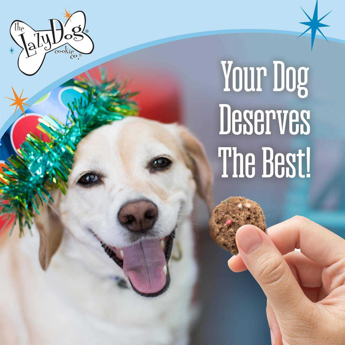 Birthday Cake Bites Dog Treats J92652