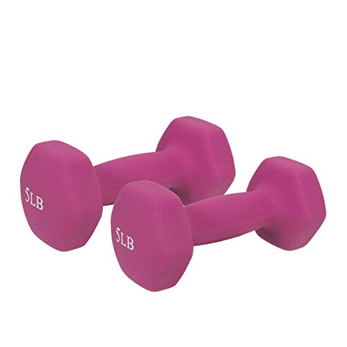 Neoprene Coated Hex Dumbbell Sold in Pairs V7346