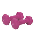 Neoprene Coated Hex Dumbbell Sold in Pairs V7346