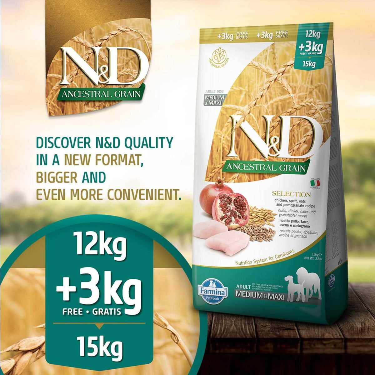 Chicken & Pomegranate Medium & Maxi Adult Dry Dog Food M87175