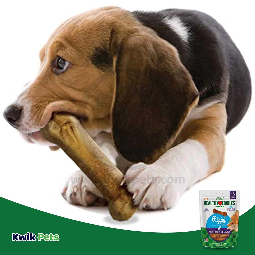 Puppy Chew Treats Turkey Sweet Potato R25759