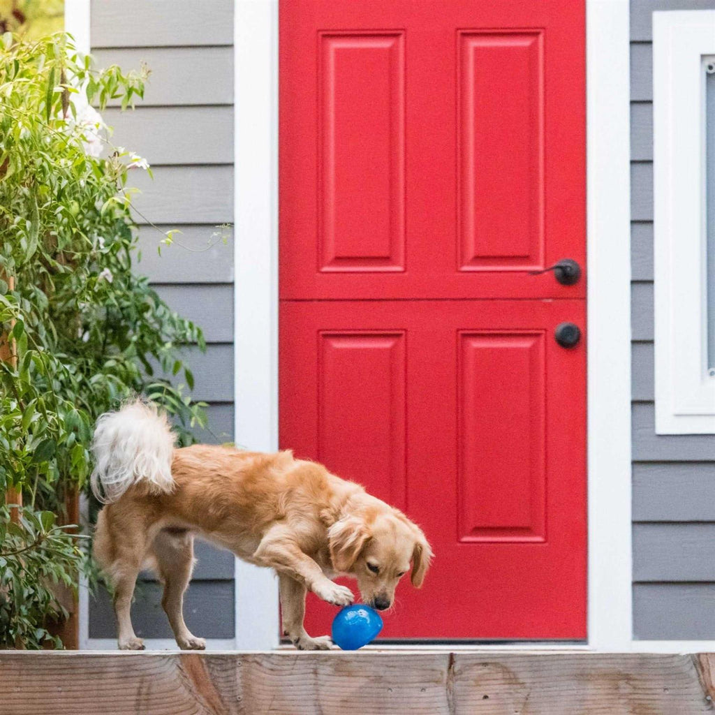 Orbee Tuff Dog Toy W4679