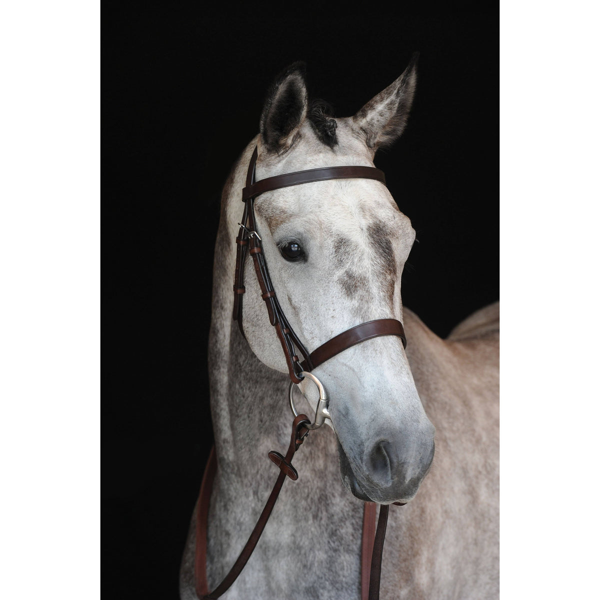 Black Cavesson Bridle H376