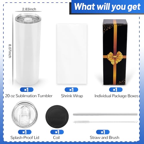 20 oz 10 Pack Stainless Steel Insulated Sublimation Tumblers with Lid and Straw R171531