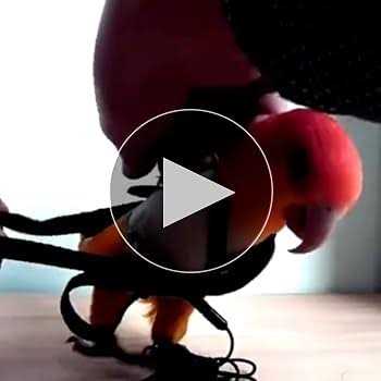 Adjustable Bird Harness and Leash N80590