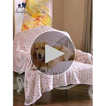 3 Flannel Pet Blanket Z629300