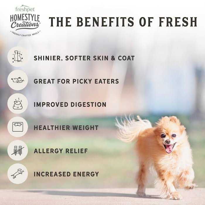 Chicken Patties Adult Wet Dog Food Z480