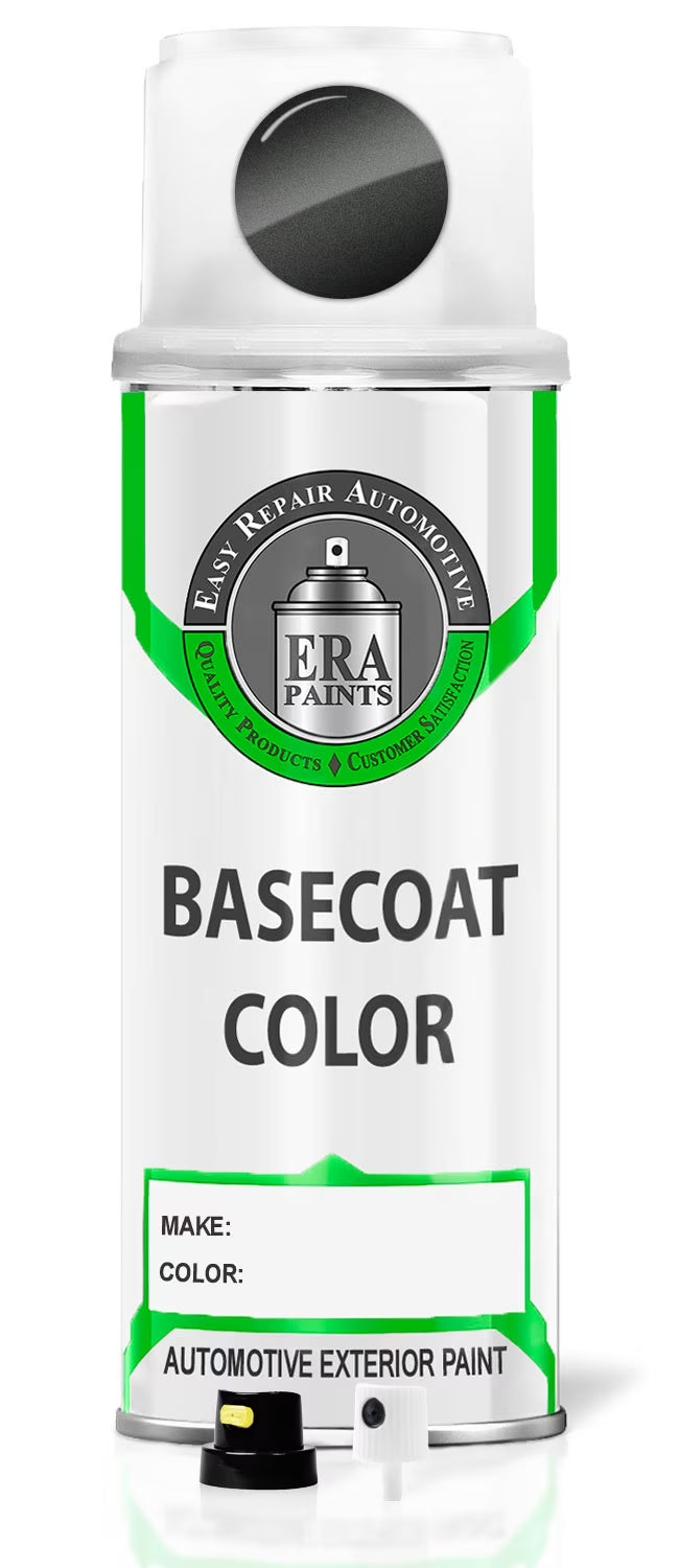 Shadow Mica Automotive Touch Up Paint Spray Basic Kit K181
