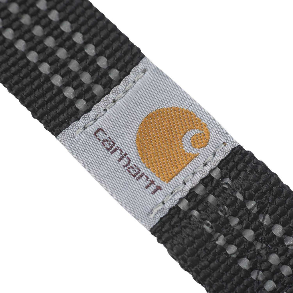 Dog Leash E684890