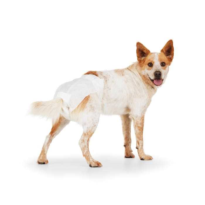 Disposable Pet Diapers P981