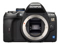 12.3 Megapixel Digital SLR Camera (Body Only) D393