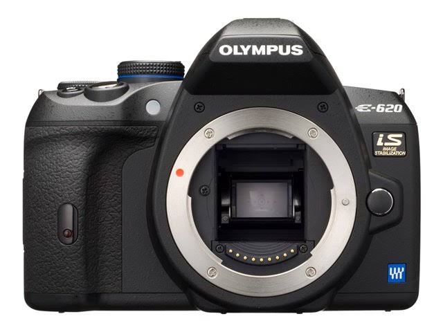 12.3 Megapixel Digital SLR Camera (Body Only) D393