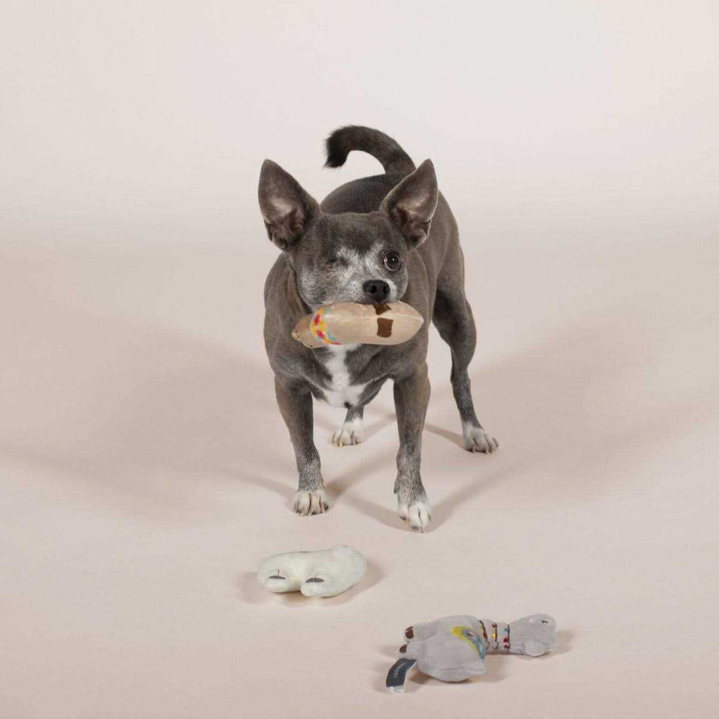 Small Dog Toy Set I809660